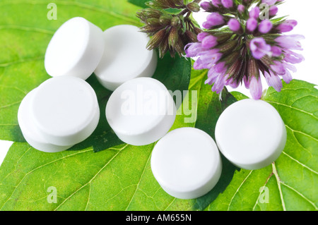Vegetable cures, Phytopharmaka. White tablets lie beside sheets of mint Stock Photo