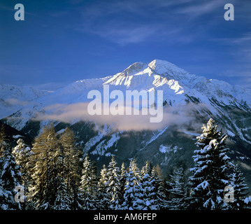 Hocheder in the Stubai Alps, winter, forest, Tyrol, Austria Stock Photo