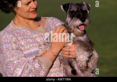 Owner with miniature Schnauzer dog Australia, Stock Photo