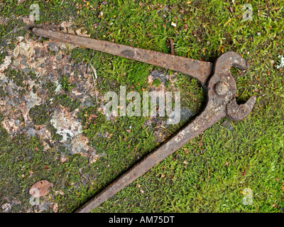 old rusty tongs lying on ground on moss Stock Photo