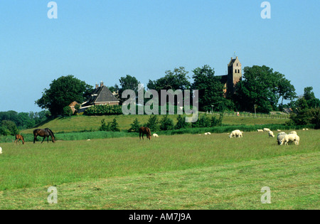 Friesland Hogebeintum Terp hillock mound  knoll Stock Photo