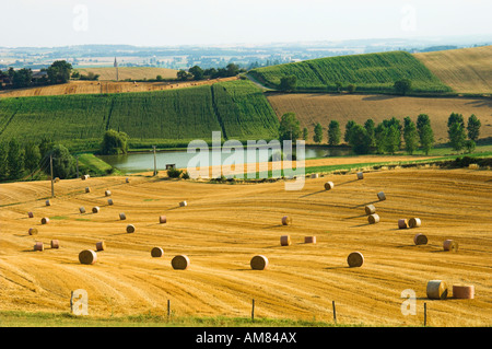 Hay rolls in Gascony field