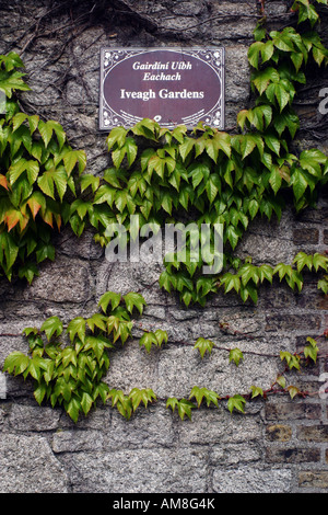 Iveagh Gardens entrance in Dublin Stock Photo