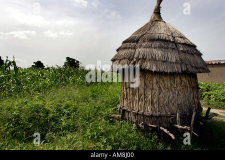 Fada N Gourma Burkina Faso August 23rd 2005 Maize field and crop storage hut at the village of Oue Stock Photo