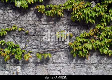 Iveagh Gardens entrance in Dublin Stock Photo