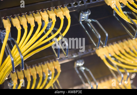 yellow ethernet cables connect black ethernet hubs Stock Photo