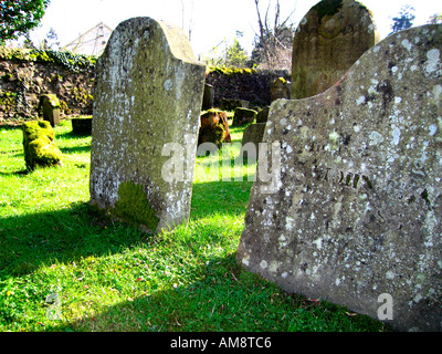 Old graveyard in low sun Stock Photo