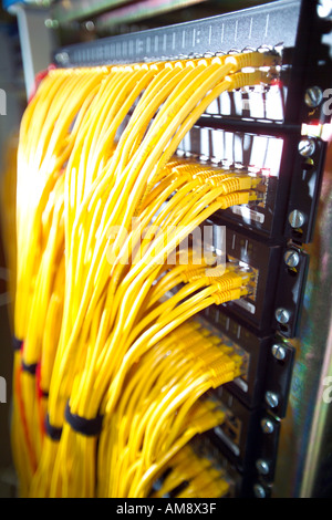 Yellow CAT 5 computer cables Stock Photo