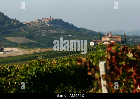 Vineyard rows near La Morra.  Piemonte, Italy Stock Photo