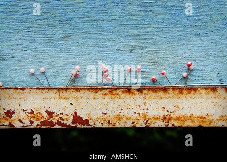 pins on a sign board Stock Photo