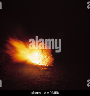 A tree on fire in Brussels at night. Stock Photo