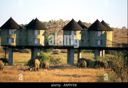 east africa kenya tsavo game park salt lick lodge hotel Stock Photo