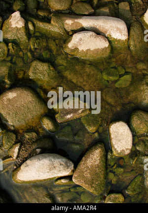 Stones in water Stock Photo