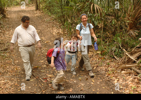 Maya, Maya Murals, San Bartolo, Guatemala, Dr. Bill Saturno Stock Photo