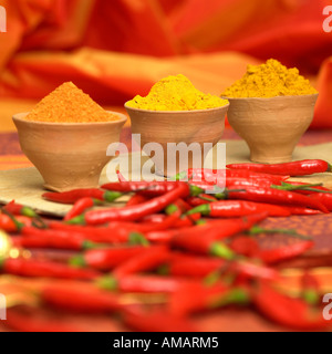 Curry, curcuma and chilli powder with red chillies, close-up Stock Photo