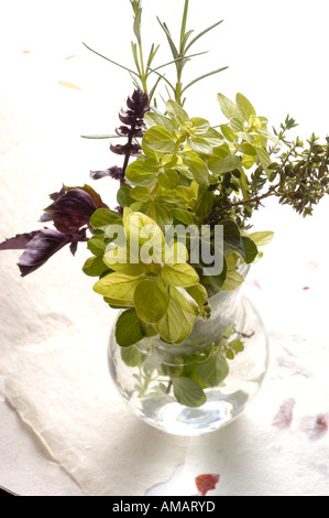 cristina cassinelli, fresh garden herbs in a vase, handmade paper with flower petals, oregano, red basil , rosemary, thyme Stock Photo