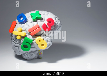 Human Brain with Magnetic Numbers Stock Photo