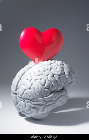 Human rubber brain with calculator heart shaped on white