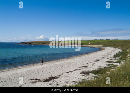 dh newark bay DEERNESS ORKNEY Person walking along silver sandy beach Stock Photo