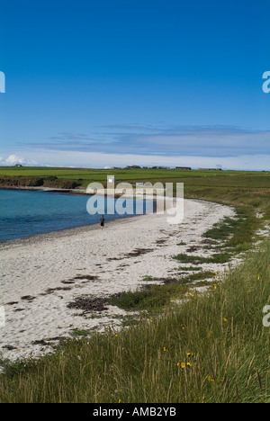 dh newark bay DEERNESS ORKNEY Person walking along silver sandy beach Stock Photo