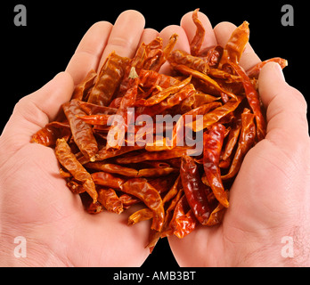 HANDFUL OF DRIED CHILLIES Stock Photo