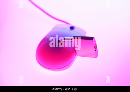 DEU, Germany : Symbolic photo, Internet and computer security. Computer mouse with lock Stock Photo
