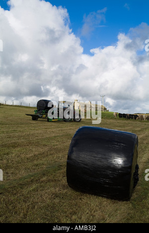 dh Dry silage HARVESTING UK Tractor wrapping grass bales plastic bale Orkney mechanized farm wrapped black wrap scotland harvest round wrapper machine Stock Photo