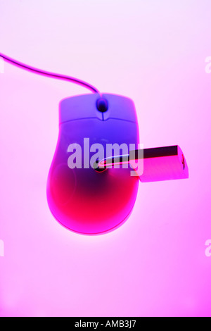 DEU, Germany : Symbolic photo, Internet and computer security. Computer mouse with lock Stock Photo