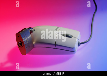 DEU, Germany : Symbolic photo, Internet and computer security. Computer mouse with lock Stock Photo
