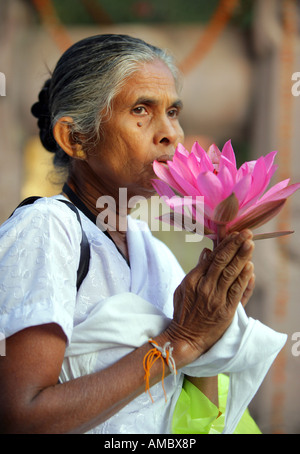 India, Bodhgaya: buddhist pilgrim with lotus flowers visiting the Mahabodhi temple site, the place of the Buddha's Enlightenment Stock Photo