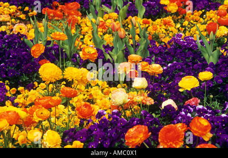 bed with different flowers Stock Photo