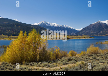 Trail Running in front of Autumn Aspen Trees Twin Lakes La Plata Peak and Portion of Mount Elbert Lake County Colorado Stock Photo