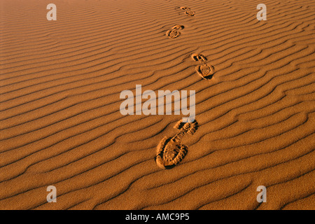 Footprints in Desert, South Australia, Australia Stock Photo