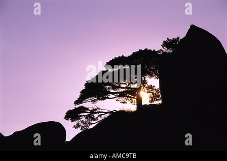 Mount Huangshan, Anhui Province, China Stock Photo