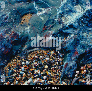 colourful sea shells on the sand with the sea water rippling towards ...