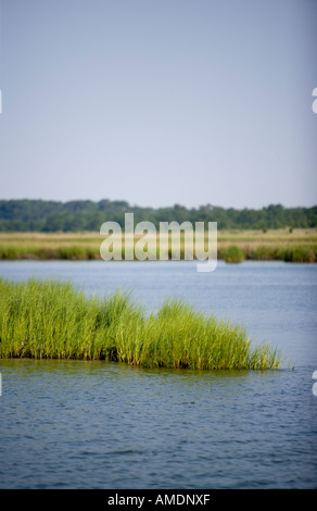 Lynnhaven Inlet Lynnhaven inlet - Virginia Beach, va Stock Photo - Alamy