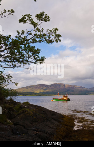 Fishing boat on Loch Creran, view towards Strath of Appin, Argyll and Bute, Scotland Stock Photo