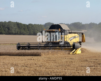 Ingatestone New Holland CX860 combine harvester at work Stock Photo