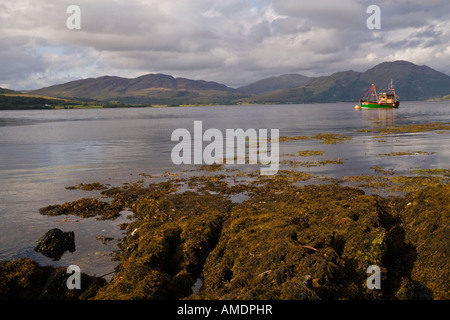 Fishing boat on Loch Creran, view towards Strath of Appin, Argyll and Bute, Scotland Stock Photo