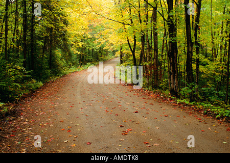 Gravel Road in Autumn Muskoka Region, Ontario, Canada Stock Photo