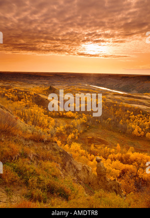 Dry Island Buffalo Jump Provincial Park in Autumn Alberta, Canada Stock Photo