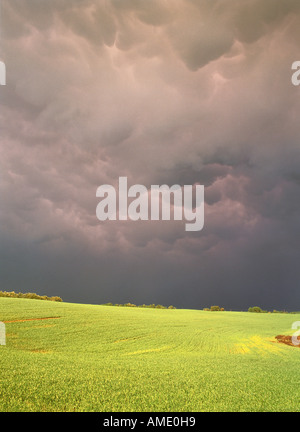 Passing Storm and Field Near Sherwood Park, Alberta Canada Stock Photo