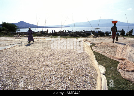 Luo women spread Cichlids to dry Stock Photo