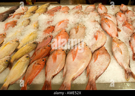 Tahiti, French Polynesia. fish display in Papeete market Stock Photo