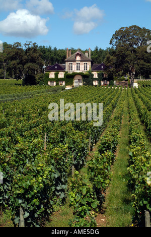 Domaine D Ardhuy Winery and the Monopole Vineyard Clos de Langres in ...