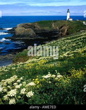 Yaquinna Head lighthouse near Newport on the Central Oregon Coast framed with wildflower foreground Stock Photo