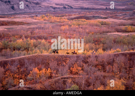 Trail Riding in Autumn, Dry Island Buffalo Jump Provincial Park, Alberta, Canada Stock Photo