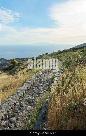 A path leads to the Dragon Tree north of Alajero on La Gomera, Canary Islands. The island of El Hierro in the distance. Stock Photo