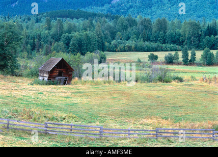 Abandoned Shack in Field With Trees British Columbia, Canada Stock Photo