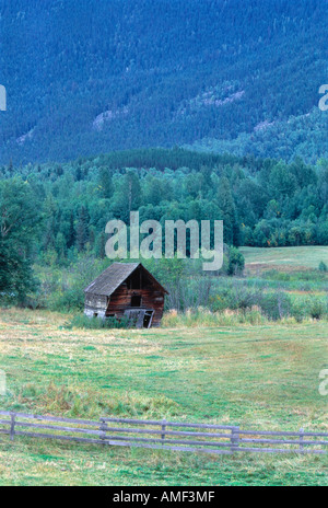 Abandoned Shack in Field With Trees British Columbia, Canada Stock Photo